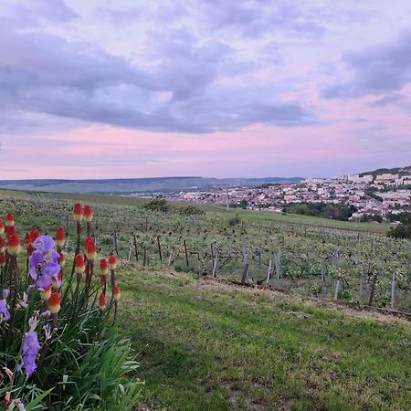 L'Echappee Bulles Daire Épernay Dış mekan fotoğraf
