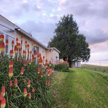 L'Echappee Bulles Daire Épernay Dış mekan fotoğraf