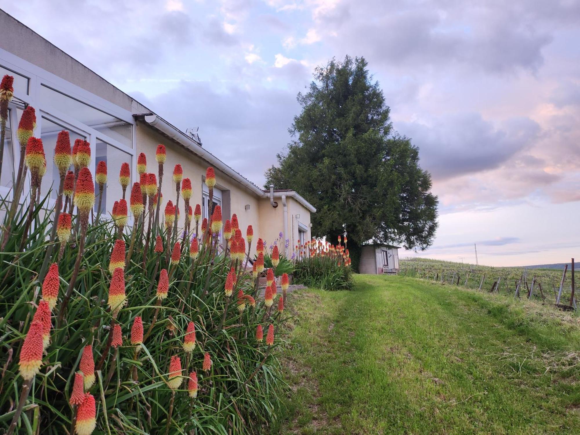 L'Echappee Bulles Daire Épernay Dış mekan fotoğraf
